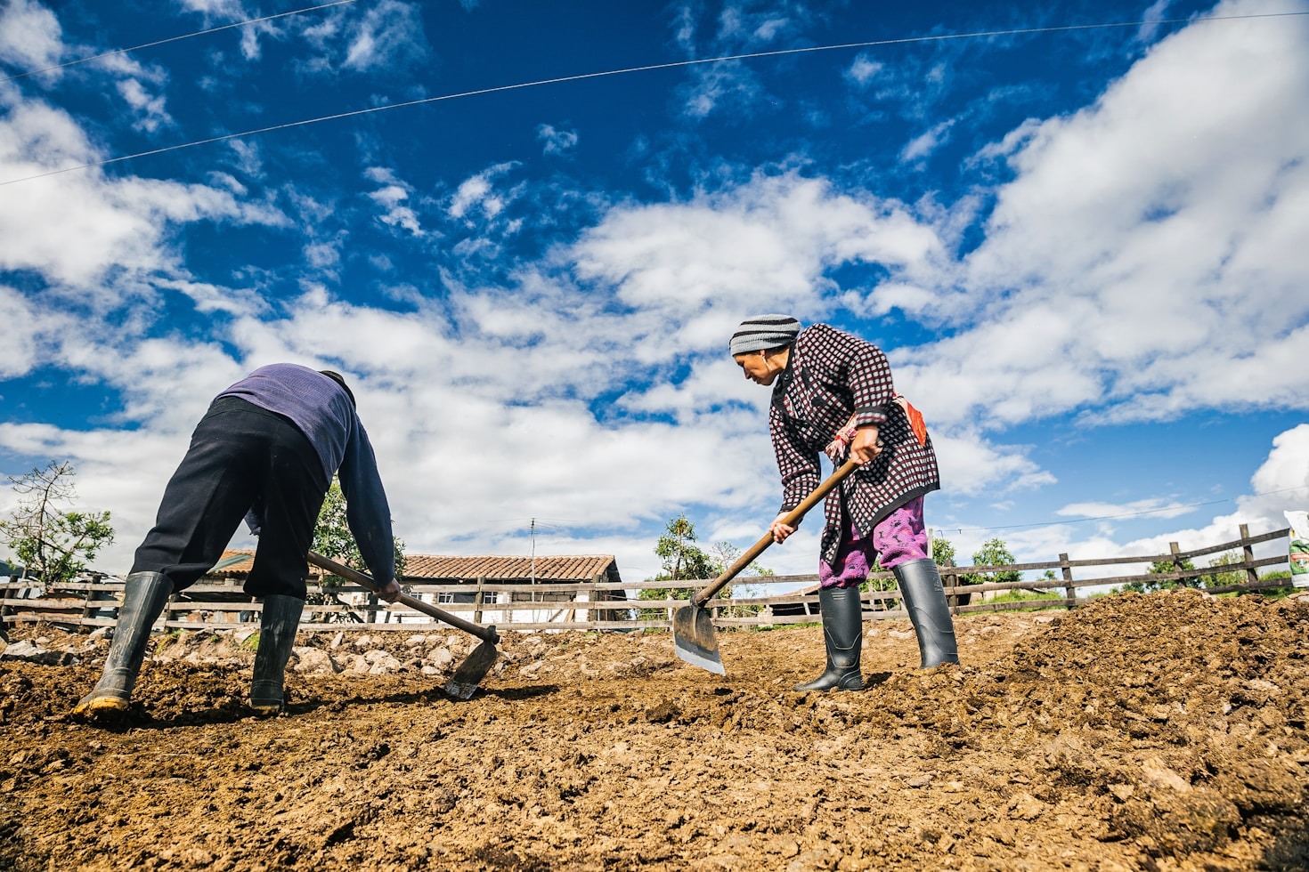 Simple Ways To Support Local Agriculture